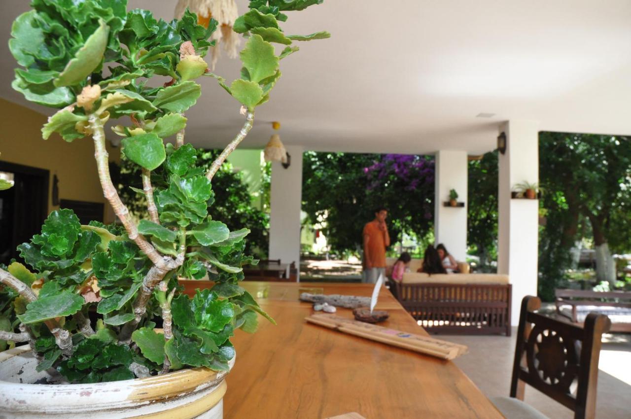San Simon Hotel Cirali Bagian luar foto