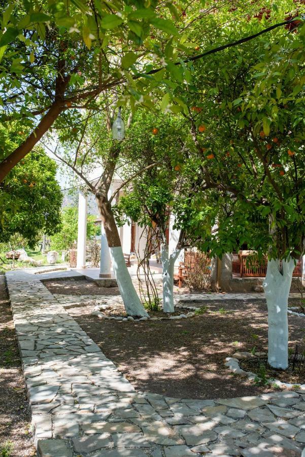 San Simon Hotel Cirali Bagian luar foto